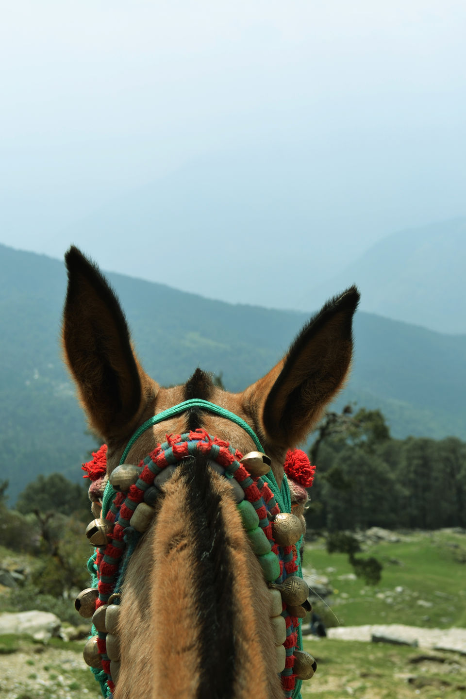 Photo of Mighty Himachal 2/3 by Vaibhav Kapil