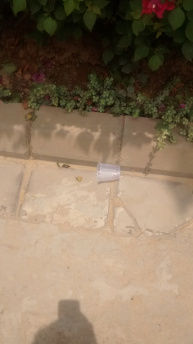 Photo of My Service Lane by Jayant Jayneel