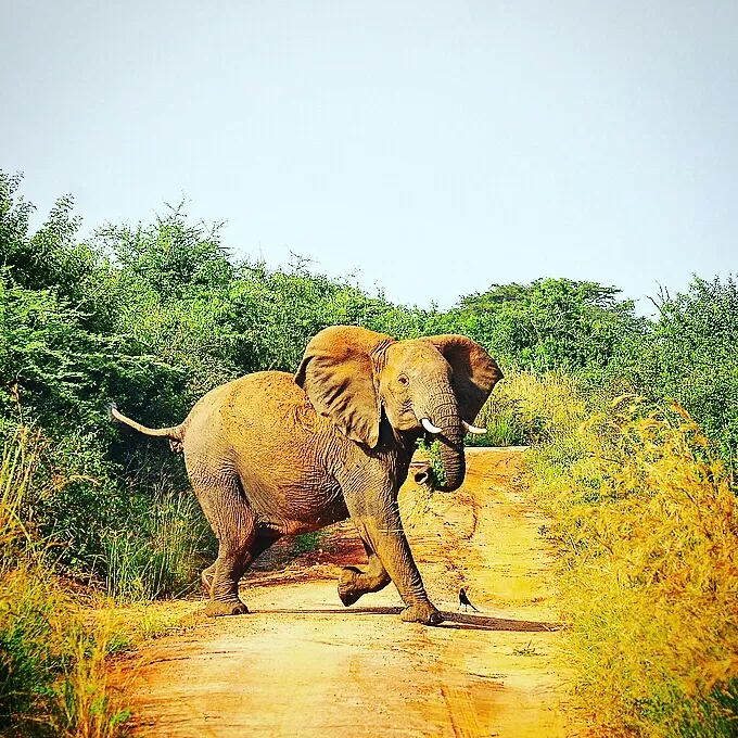 Photo of Uganda by Agnes Mirembe