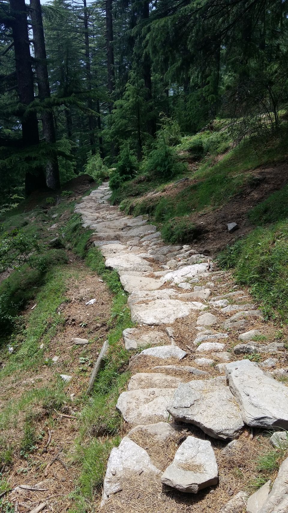 Photo of Deo Tibba, Kullu, Himachal Pradesh, India by Richa Shah