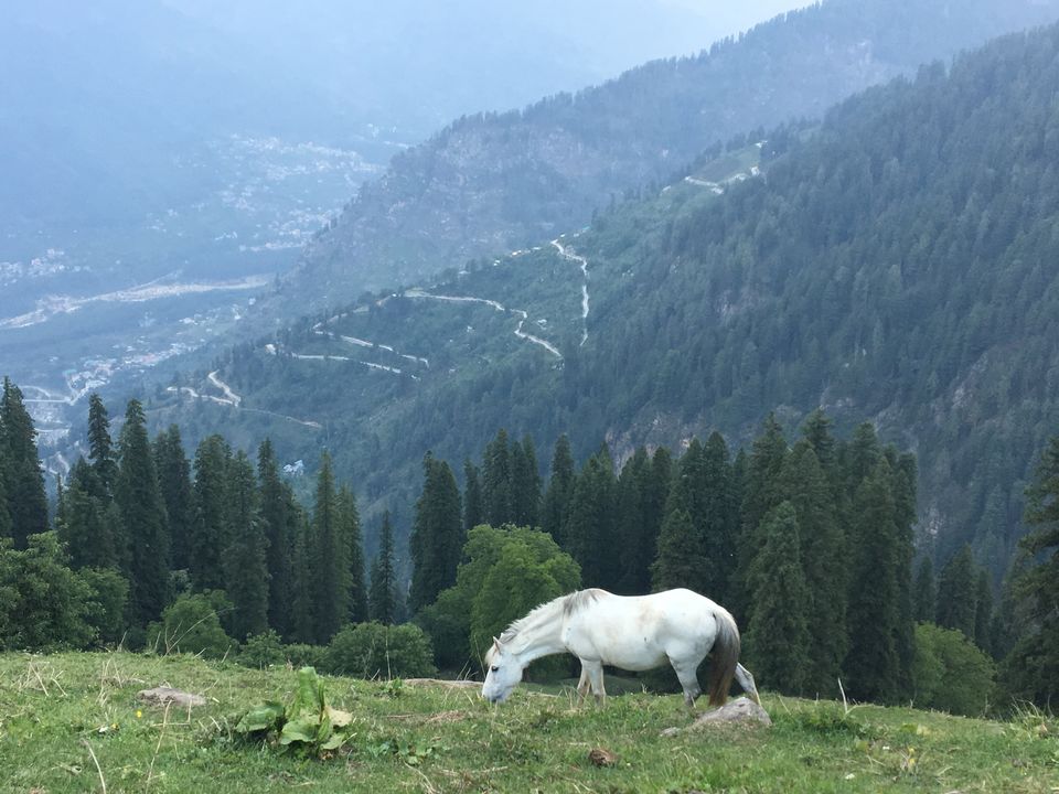 Photo of Deo Tibba, Kullu, Himachal Pradesh, India by Richa Shah