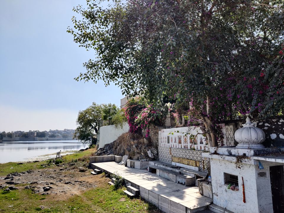 Photo of Travel Doesn’t Heal You Every Time But..., 2/26 by Richa Shah