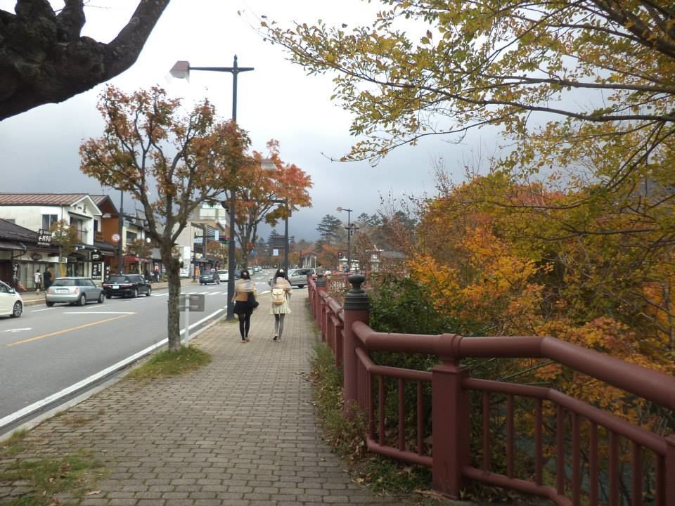 Photo of Of Autumn leaves and Sake 6/8 by Antara Sen