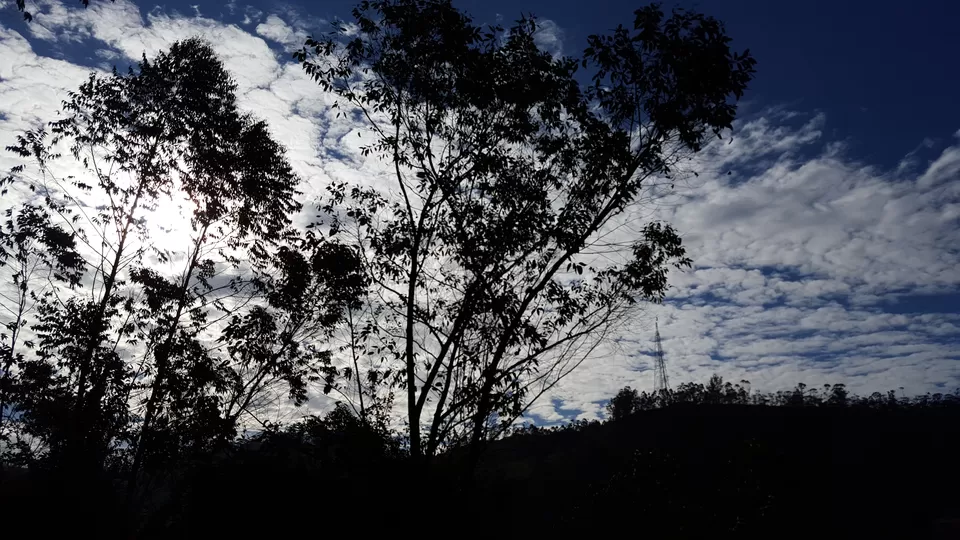 Photo of Munnar, Kerala, India by vineet saddyan