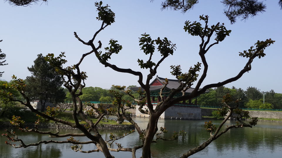 Photo of South Korea: My Seven Weekends 5/17 by vineet saddyan