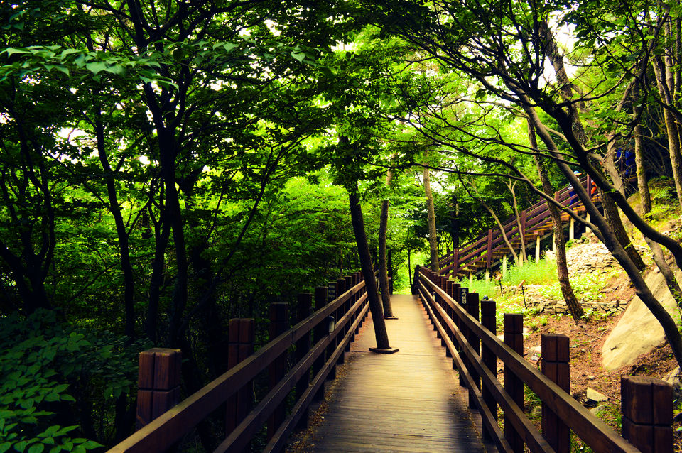 Photo of The Third Lap: Geoje And Tongyeong 2/17 by vineet saddyan