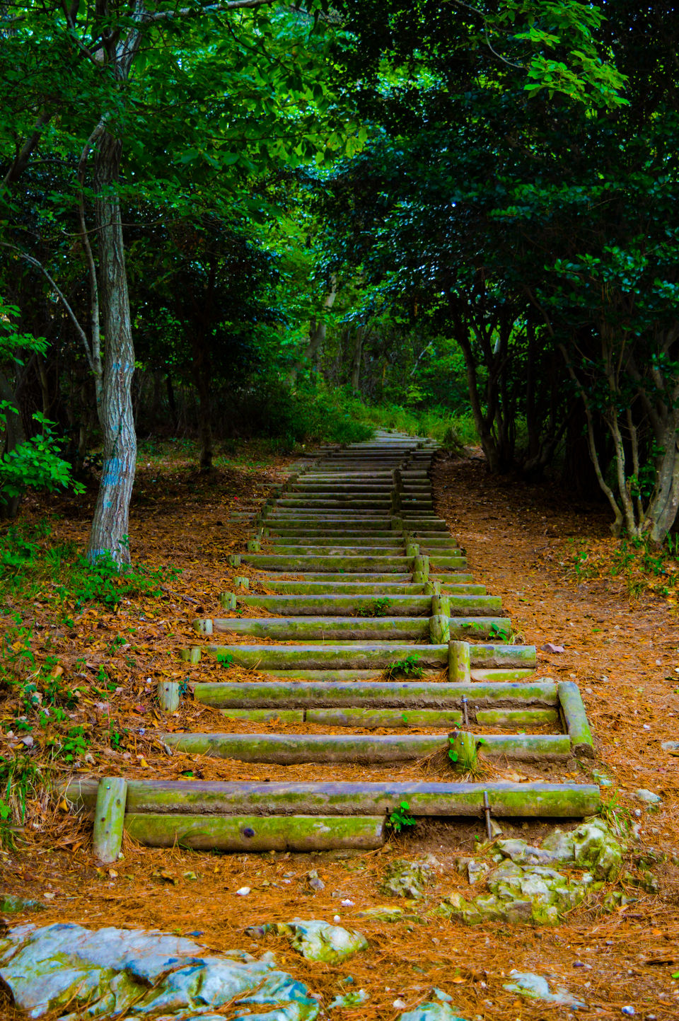 Photo of The Third Lap: Geoje And Tongyeong 8/17 by vineet saddyan