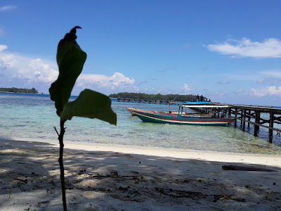 Photo of Travelling: 5 Unforgettable Lessons 1/2 by vineet saddyan