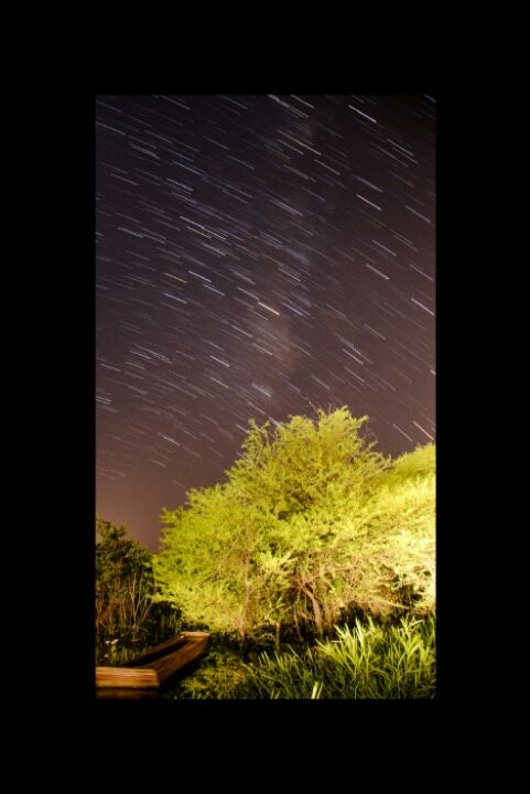 Photo of Bhopal, Madhya Pradesh, India by Yash Menghani