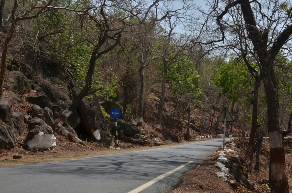 Photo of Jatashankar Rd, Pachmarhi, Madhya Pradesh 461881, India by Yash Menghani