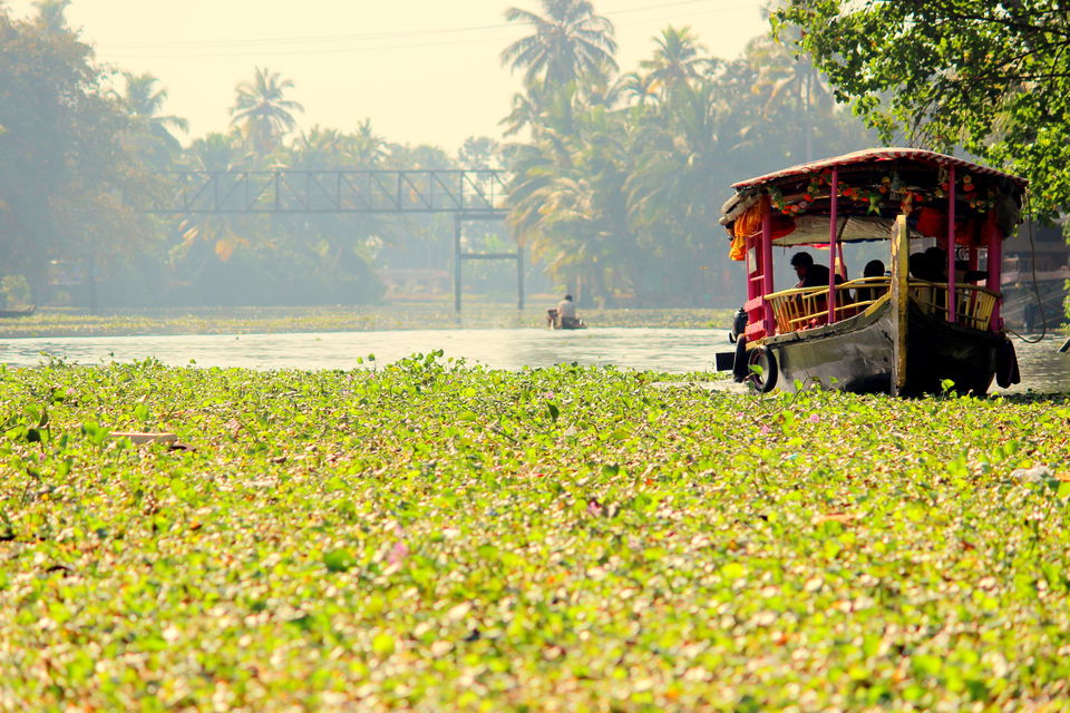 Photo of Alappuzha for a break! 6/37 by gouthamatheeth