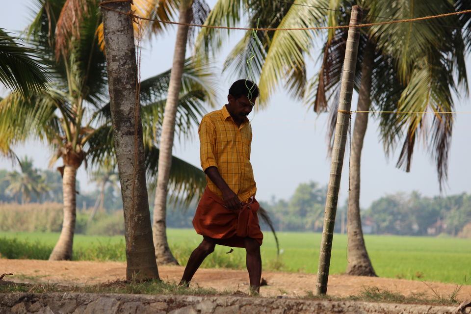 Photo of Alappuzha for a break! 8/37 by gouthamatheeth