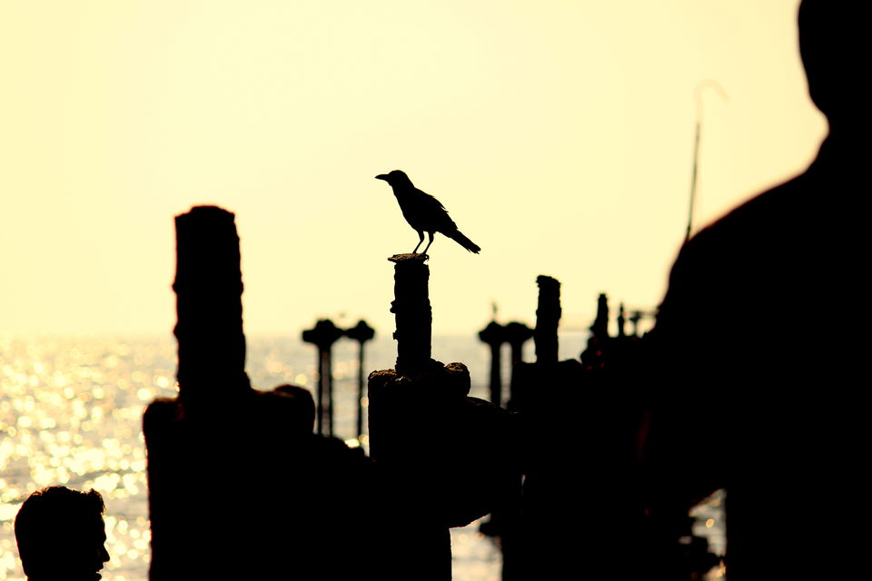 Photo of Alappuzha for a break! 19/37 by gouthamatheeth