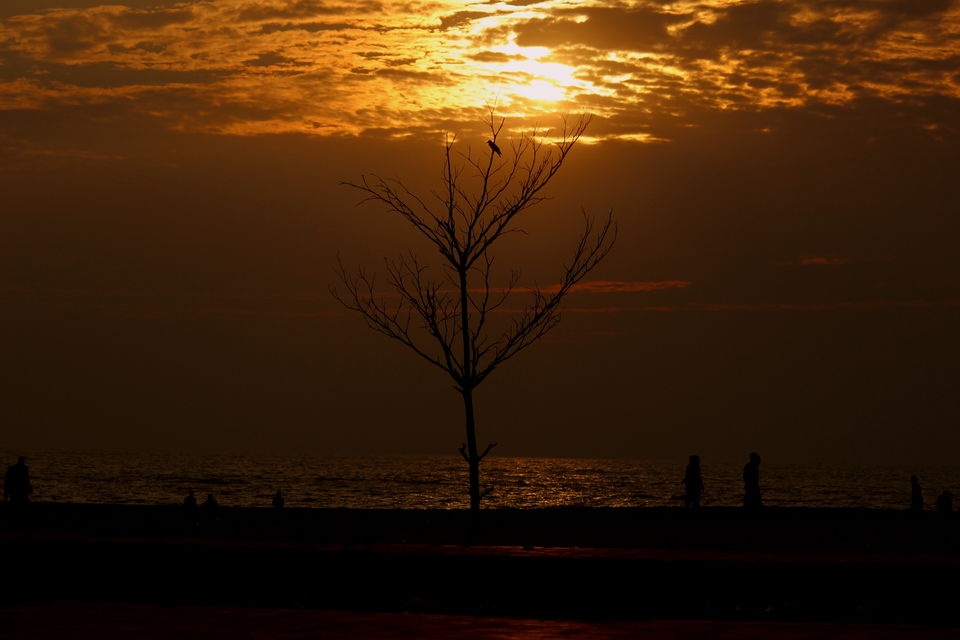 Photo of Alappuzha for a break! 20/37 by gouthamatheeth