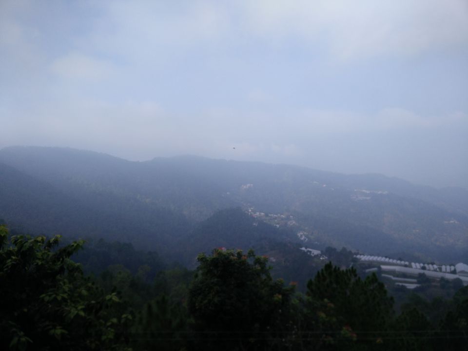 Photo of Chail-Nature at its best 4/5 by Sakshi Chhatwal