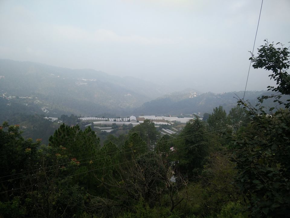 Photo of Chail-Nature at its best 5/5 by Sakshi Chhatwal