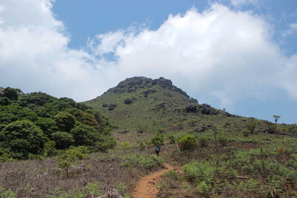Photo of Tadiandamol Coorg Trek with Plan The Unplanned 1/1 by PTU