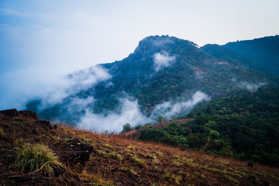 Photo of Kodachadari Monsoon Trek | Plan The Unplanned by Plan the Unplanned