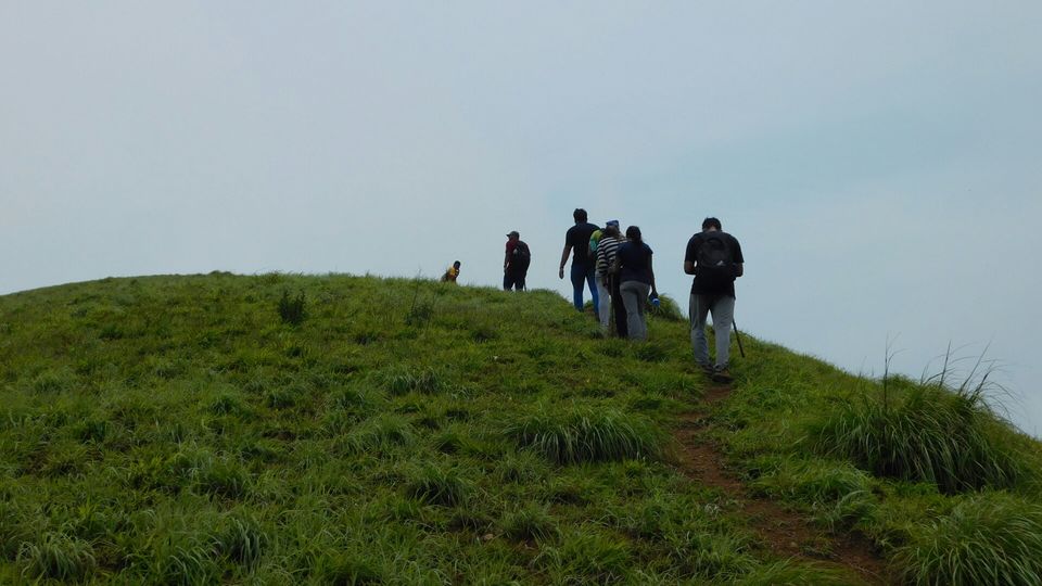 Photo of Kopatty Coorg Trek with Plan The Unplanned by Plan the Unplanned