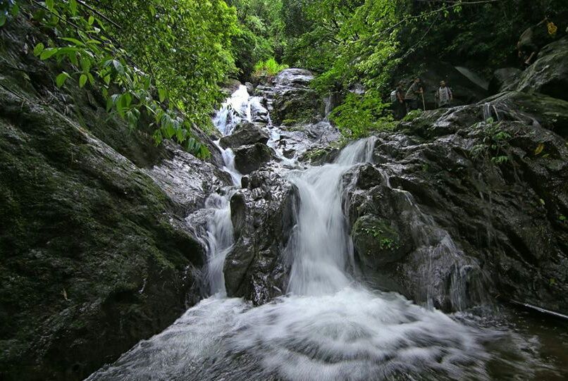 Photo of Monsoon Delight at Vagamon - Waterfall Trek & Camping by PTU