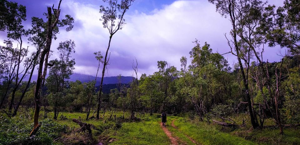 Photo of Kopatty Coorg Trek with Plan The Unplanned by PTU