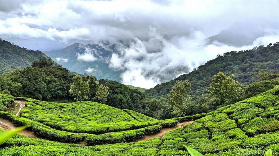 Photo of Wilderness Trek to Top Station - Munnar by PTU