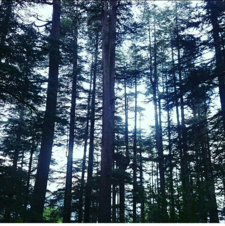 Photo of Enchanting Himachal adventures by Sachin