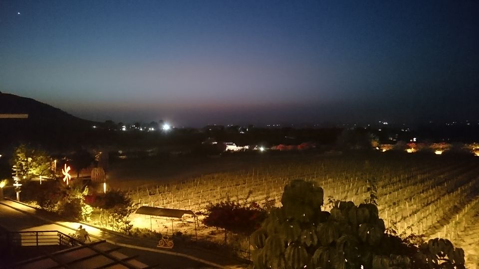 Photo of Nashik - Short & Sweet Yet Incomplete...#shorttrips #shortandsweet by Sachin