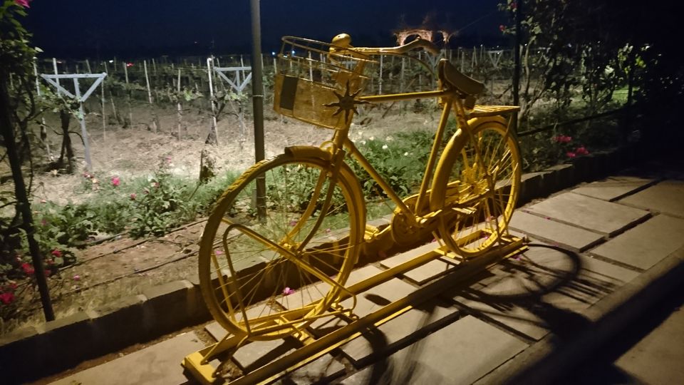 Photo of Sula Vineyards, Gangapur-Savargaon Road, Nashik, Maharashtra, India by Sachin