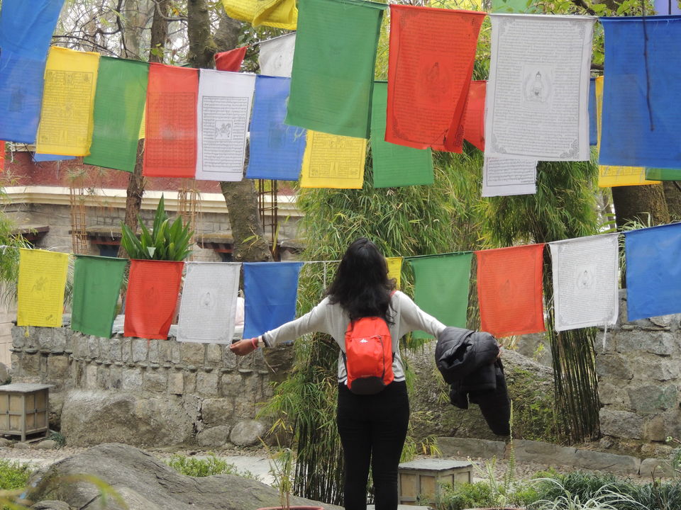 Photo of Dalhousie - McLeodganj - Bir - Manali - Photo Blog 20/38 by Manoj Bodduna