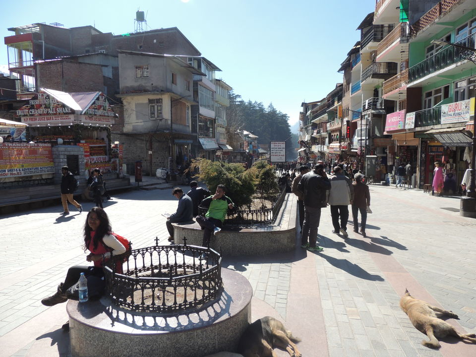 Photo of Dalhousie - McLeodganj - Bir - Manali - Photo Blog 28/38 by Manoj Bodduna