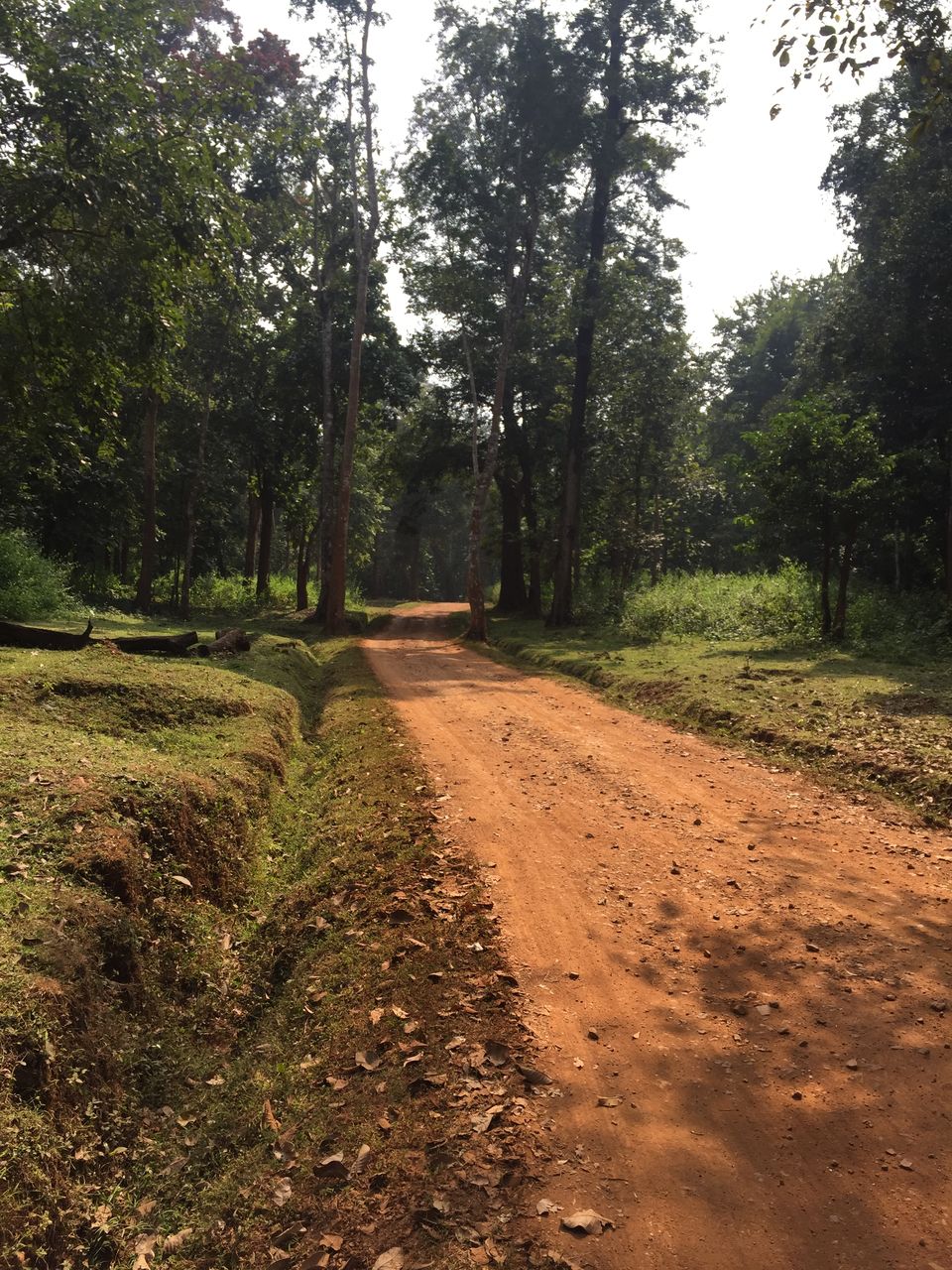 Photo of What we can learn from Roads? 5/5 by Rahul Pandey