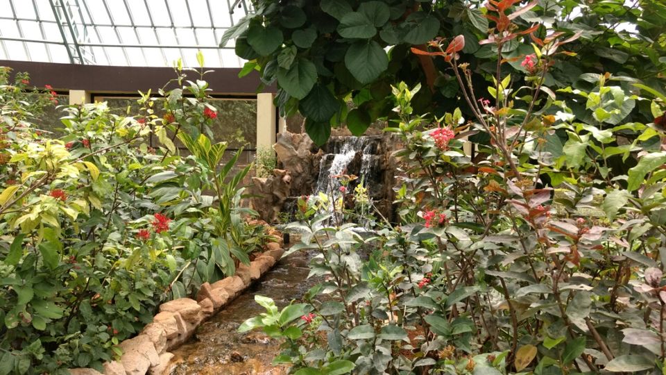 Photo of Bannerghatta Road, Bannerughatta, Bengaluru, Karnataka 560083, India by Manoj Patil