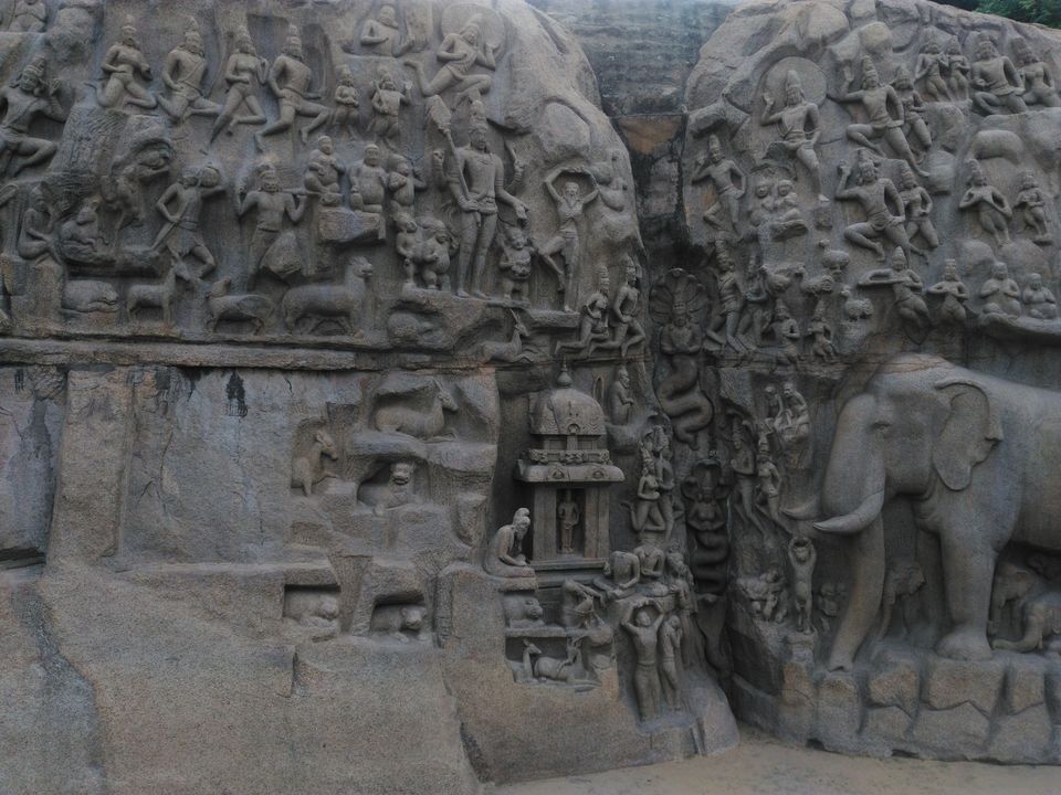 Photo of Tamil Nadu Delight, yet again. 20/40 by anisha.18j