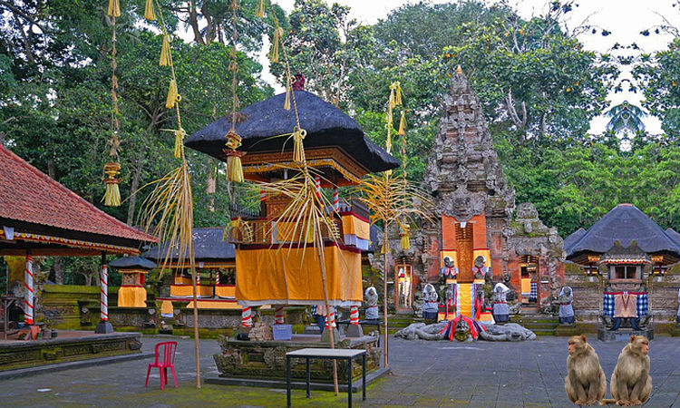 Photo of An Unforgettable Visit to Ubud Monkey Forest in Bali 3/6 by Rahul Sharma