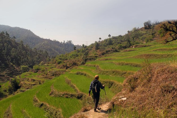 Photo of Best Trekking Points for Your Adventure Tour Packages in India 5/7 by Rahul Sharma