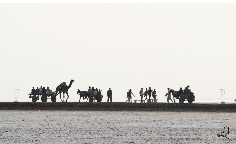 Photo of Rann of Kutch, Kutch, Gujarat, India by Rohit Singh