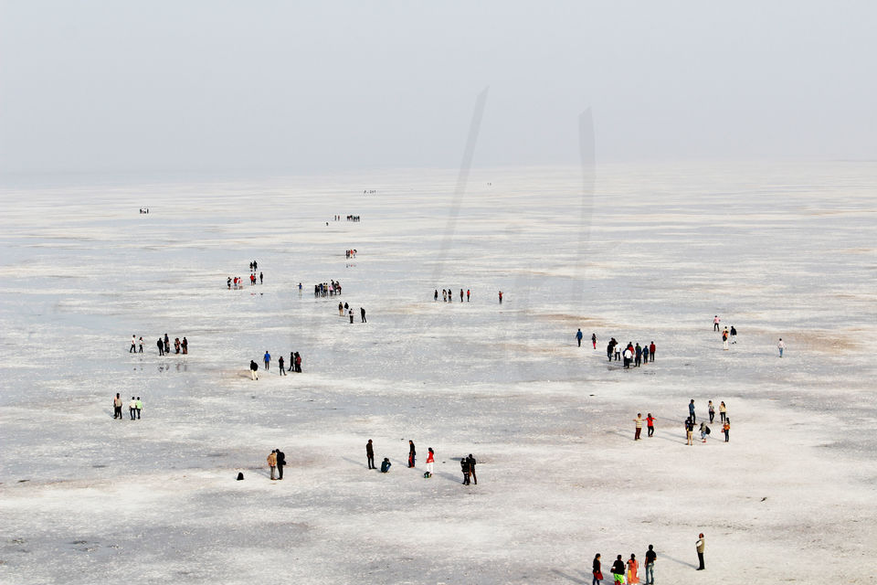 Photo of Rann of Kutch, Kutch, Gujarat, India by Rohit Singh