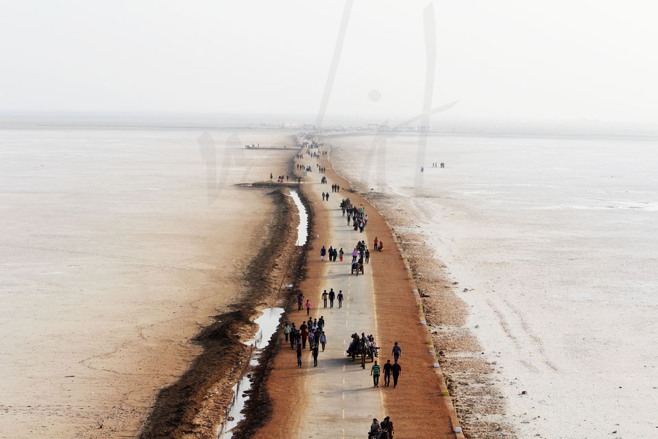 Photo of Rann of Kutch, Kutch, Gujarat, India by Rohit Singh