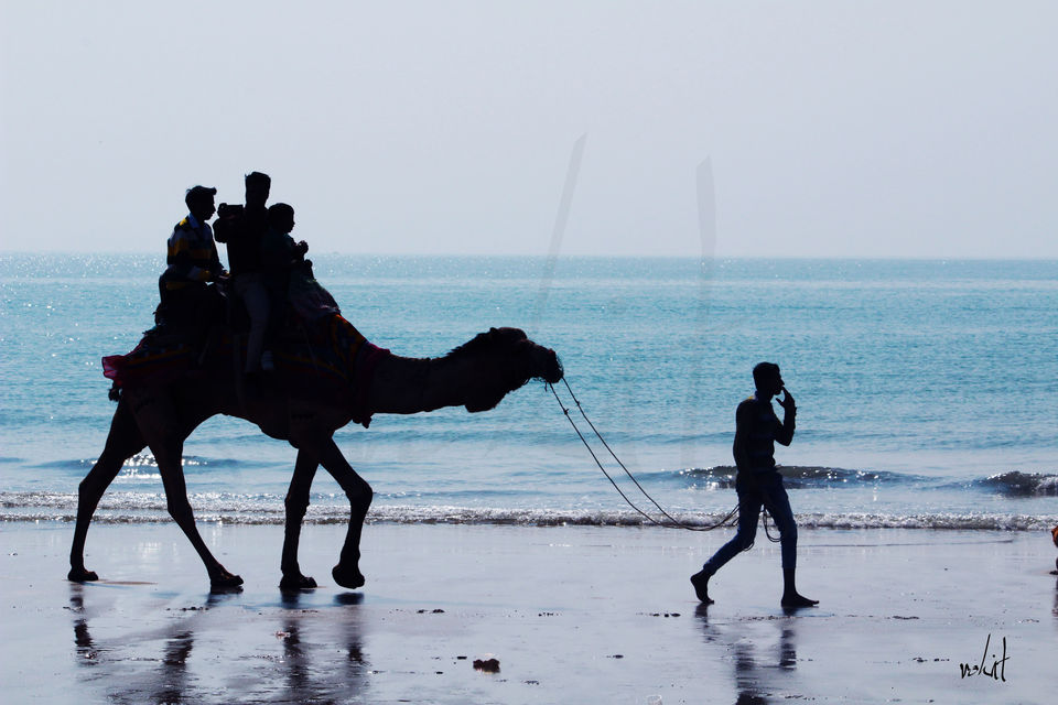 Photo of Mandvi Beach, Mandvi Rural, Gujarat, India by Rohit Singh