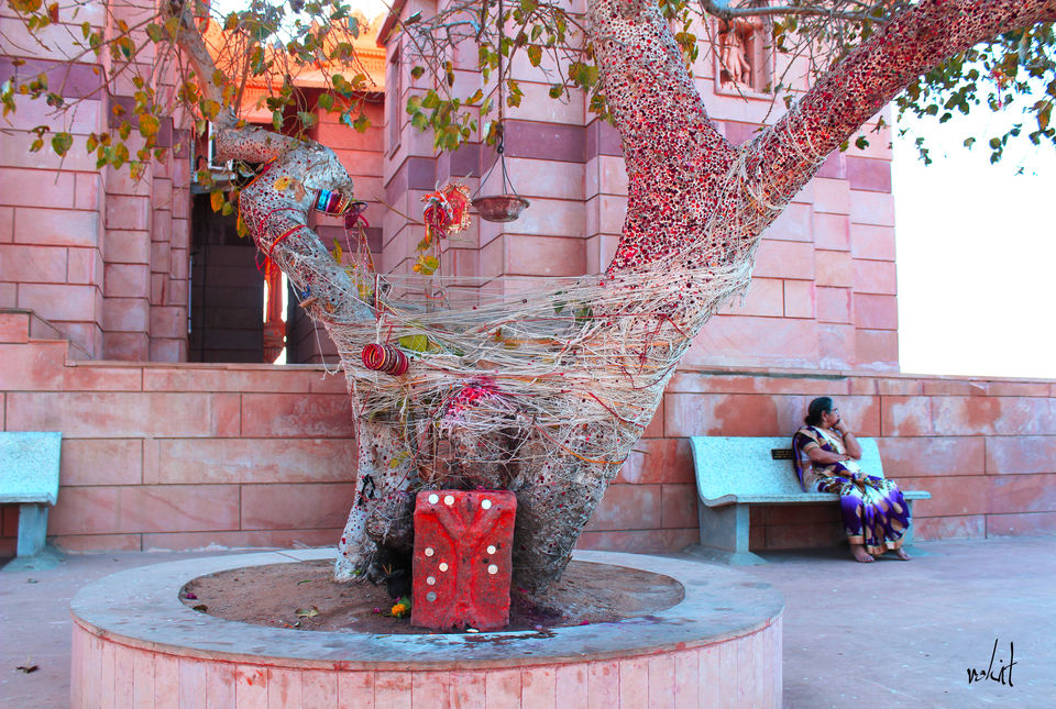 Photo of Koteshwar Mahadev Temple, Koteshwar, Ahmedabad, Gujarat, India by Rohit Singh