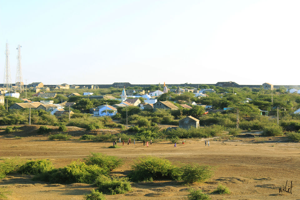 Photo of Vibrant Rann of Kutch... Bhuj and Nearby by Rohit Singh