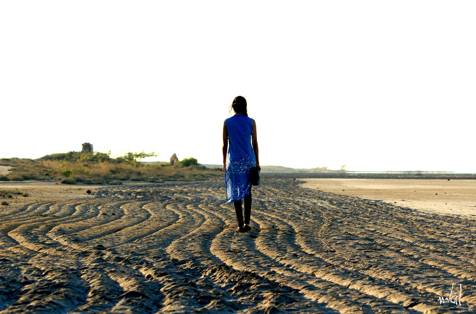 Photo of Vibrant Rann of Kutch... Bhuj and Nearby by Rohit Singh