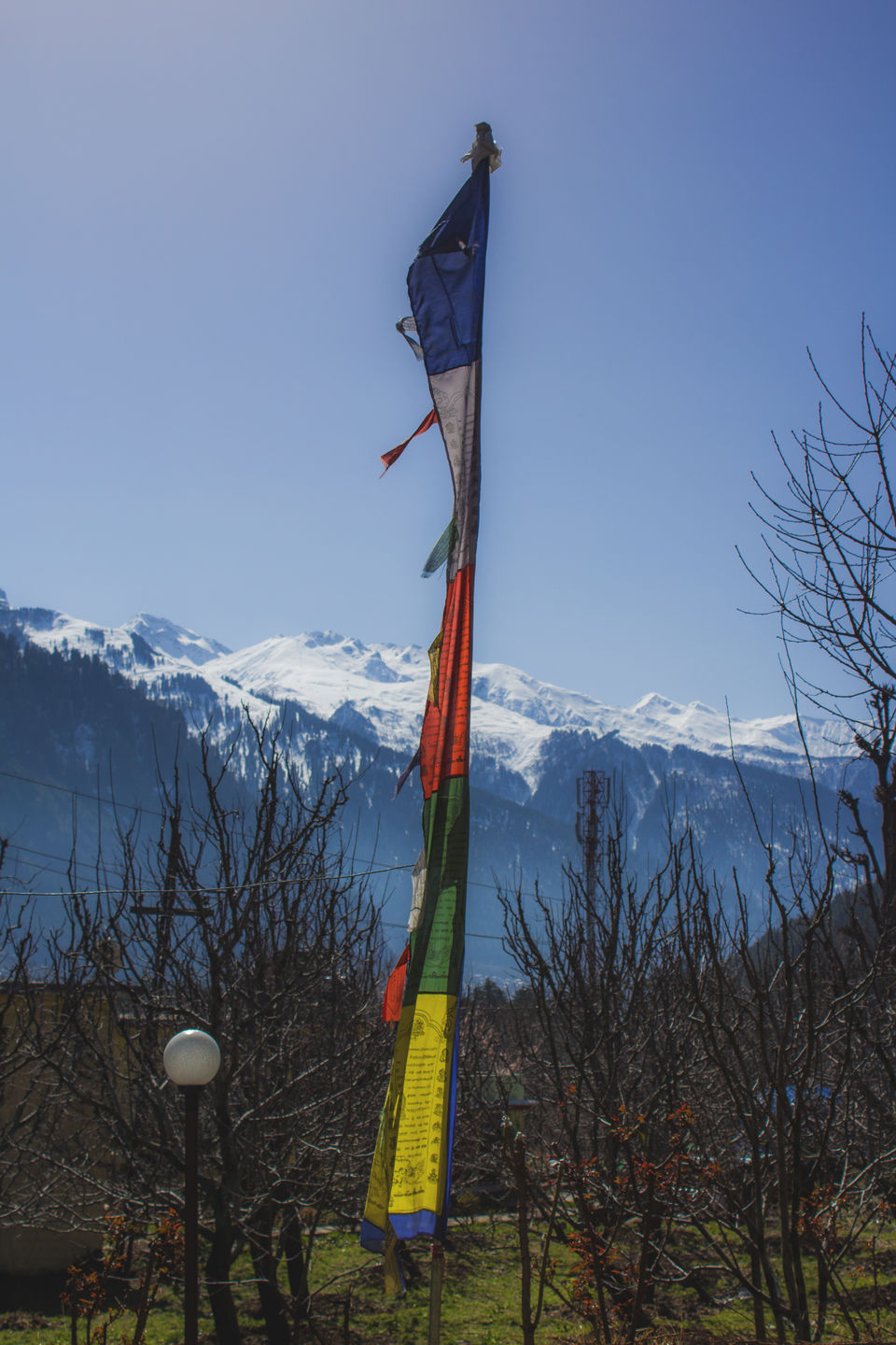 Photo of Head over heels with Himachal - My first solo expedition (Part - 1) 3/5 by Ankur Gupta