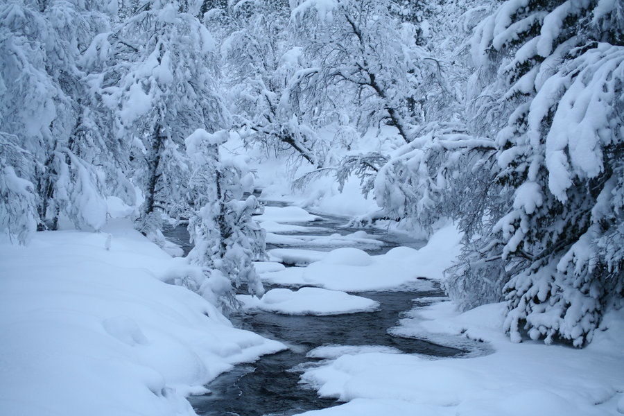Photo of Need A Cure For Your Winter Wanderlust? Take A Trip To The Winter Wonderlands in Scandinavia! 1/36 by Anjali Chawla