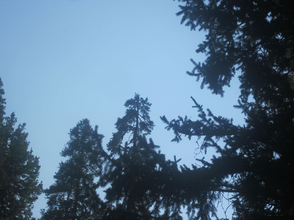 Photo of How I Lost My Soul In Kashmir! 12/20 by Anjali Chawla