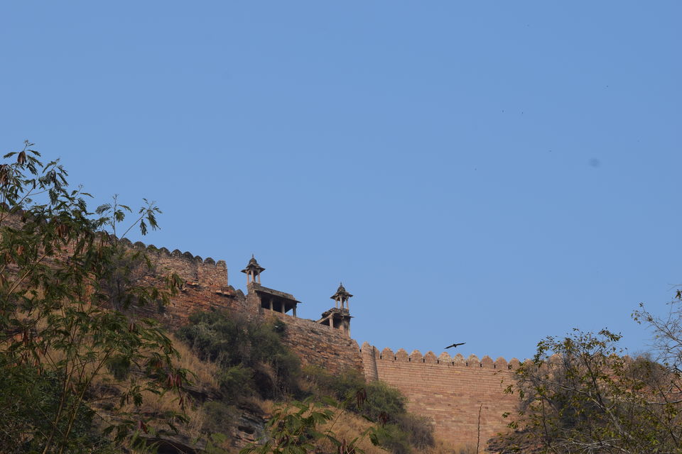 Photo of Gujari Mahal - Celebration Of Raja Man Singh's Love For Mrignayani 7/14 by Anjali Chawla