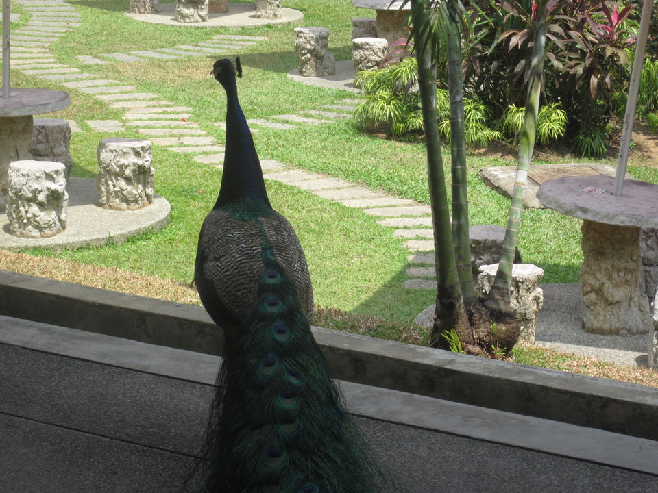 Photo of Budget Tips And Tricks To Enjoy Singapore! 25/25 by Anjali Chawla