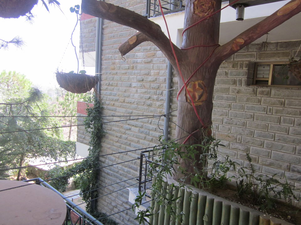 Photo of A Memorable Trip To Kasauli 2/8 by Anjali Chawla