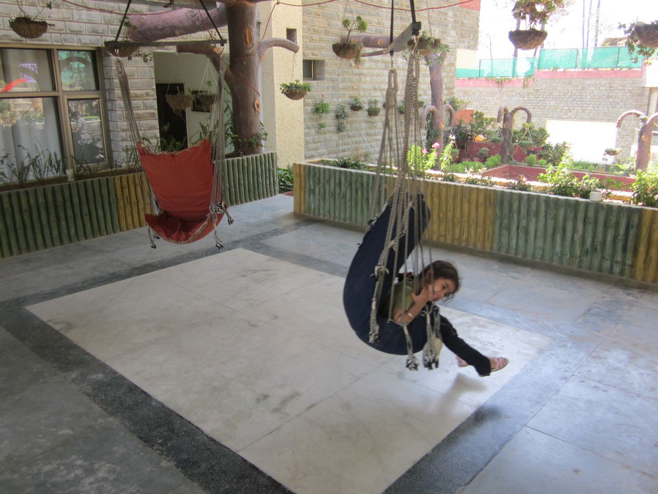 Photo of A Memorable Trip To Kasauli 8/8 by Anjali Chawla